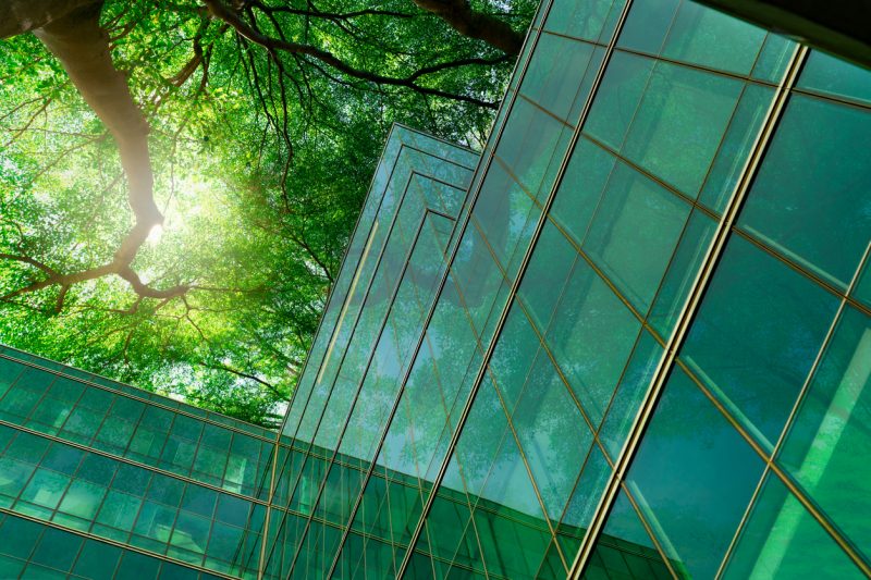 prédio de vidro refletindo o verde da natureza que o cerca